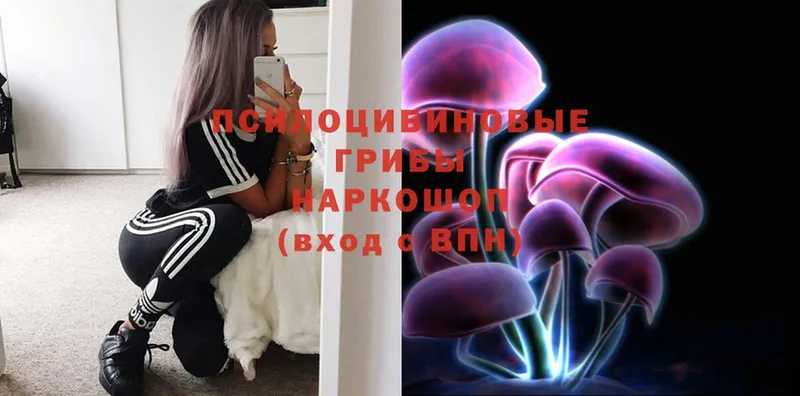 Галлюциногенные грибы Psilocybe  купить закладку  Саров 